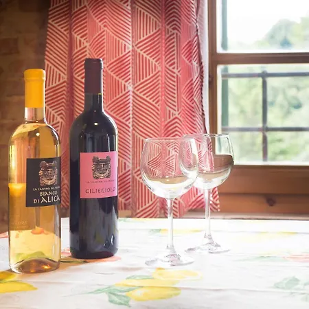 Borgo Di Alica 팔라야