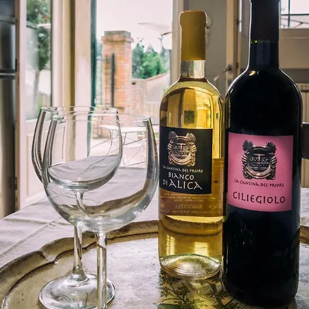 Vakantieboerderij Borgo Di Alica